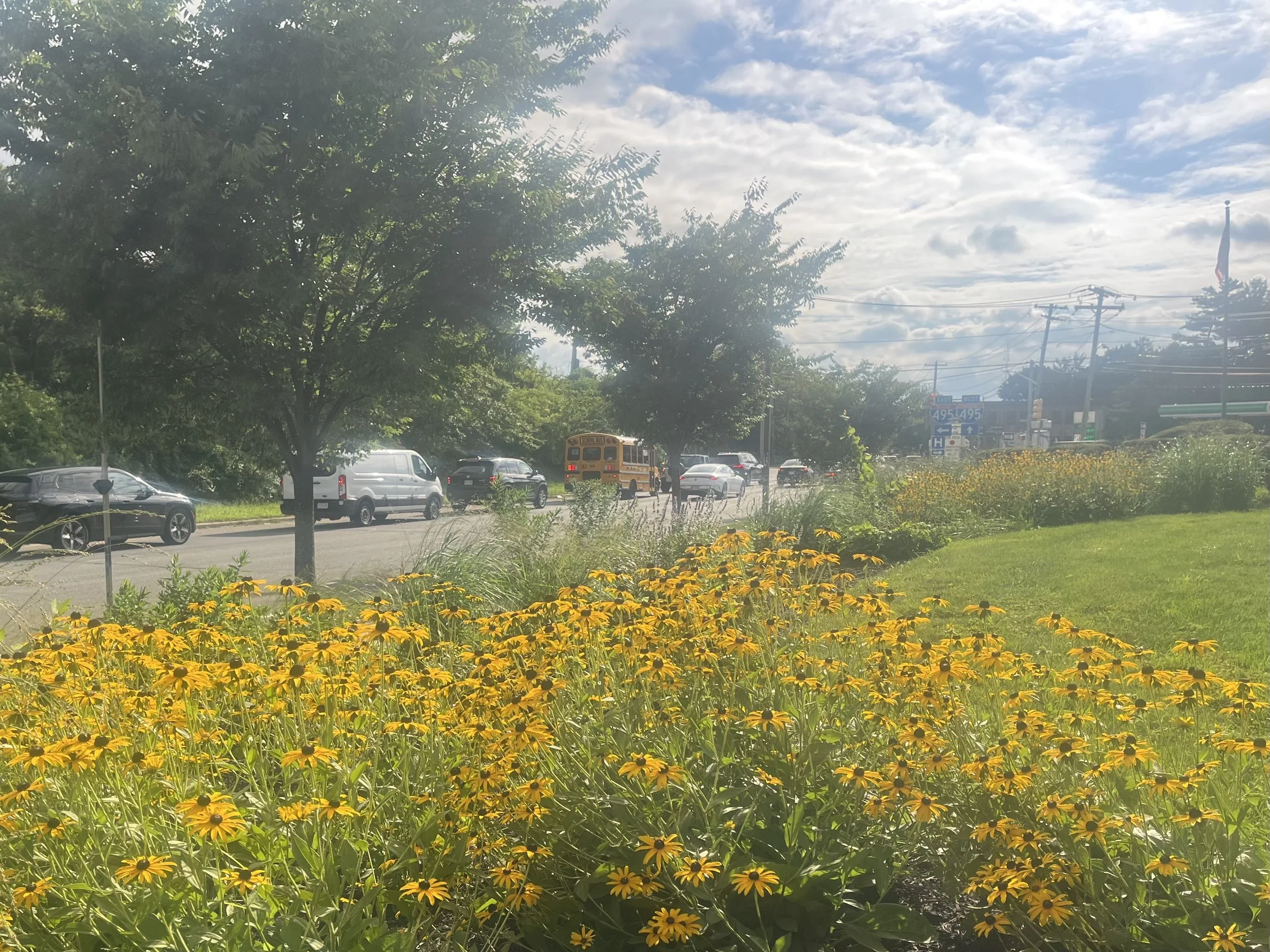 (After) Syosset Public Library, Community Garden Recipient 2026