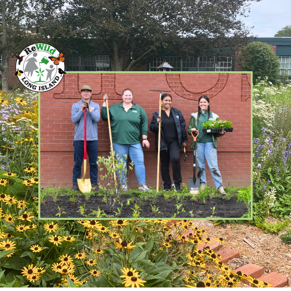 2027 Community Gardens Program Applications are OPEN NOW