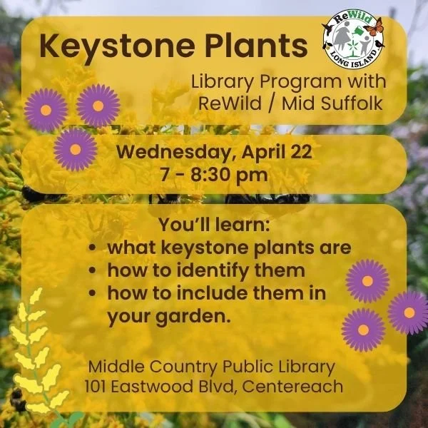 Library Talk: Keystone Plants at Middle Country Public Library ...
