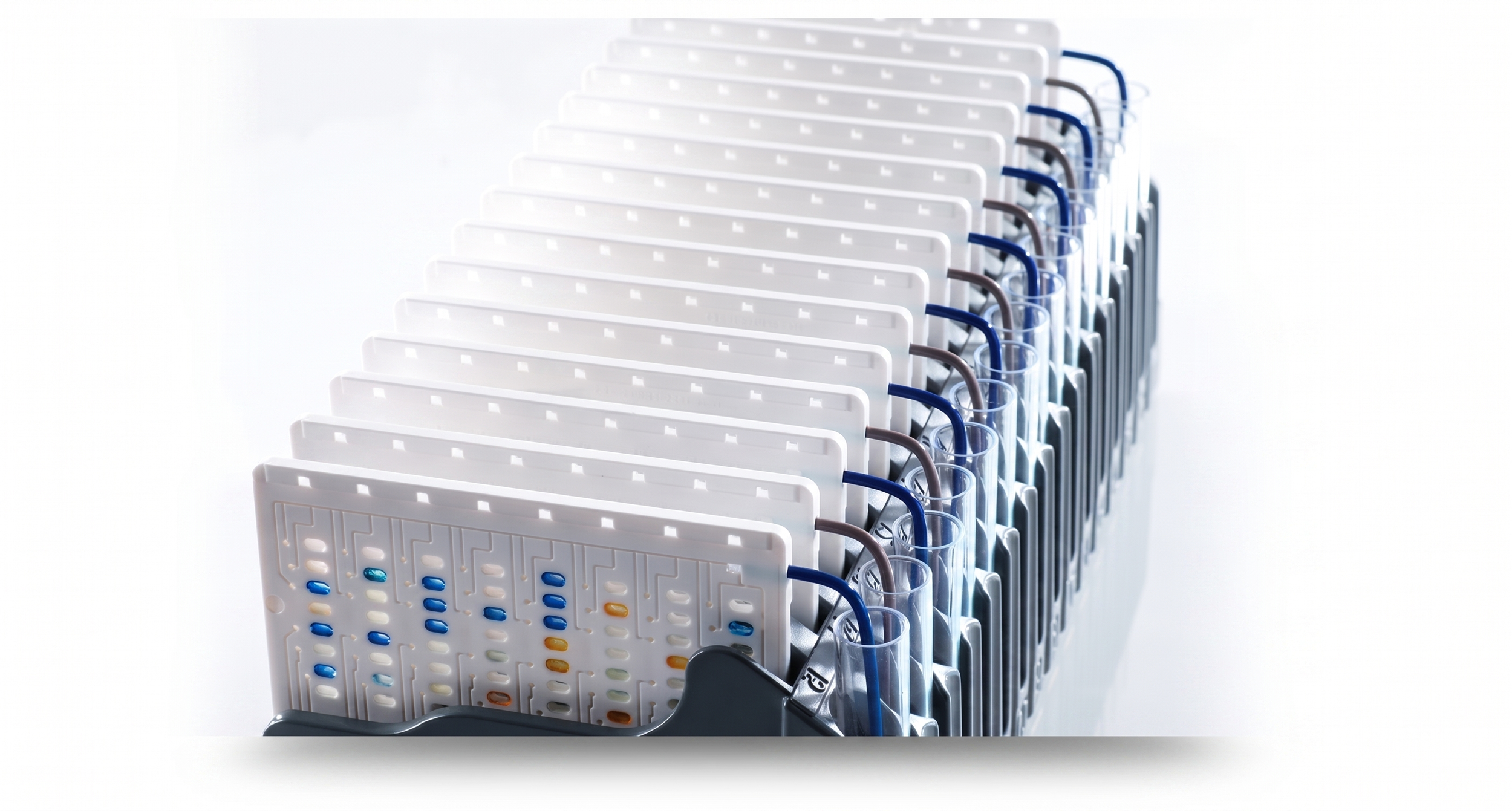 studio-backs-biomerieux-vitek-2-ID-ast-cards.png