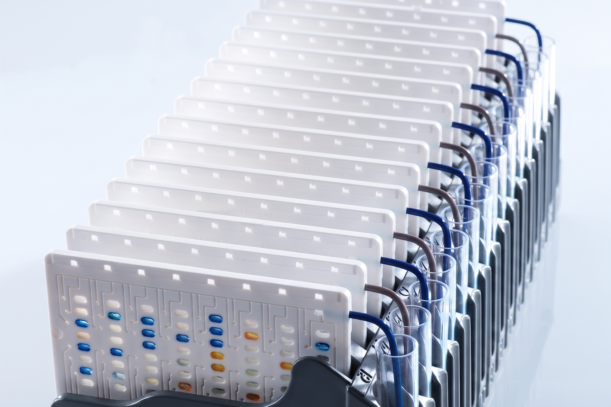 studio-backs-biomerieux-vitek-2-ID-ast-cards-final.png