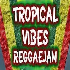 Tropical Vibes Music Band