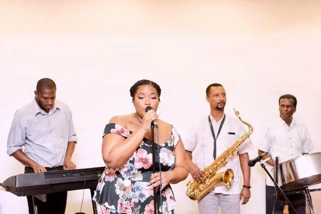 Professional Vocalist + Band