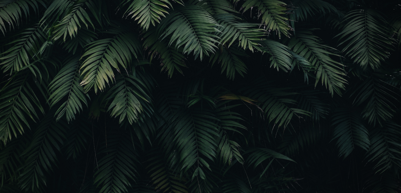 c3-9weekmasterclass (bkg.png