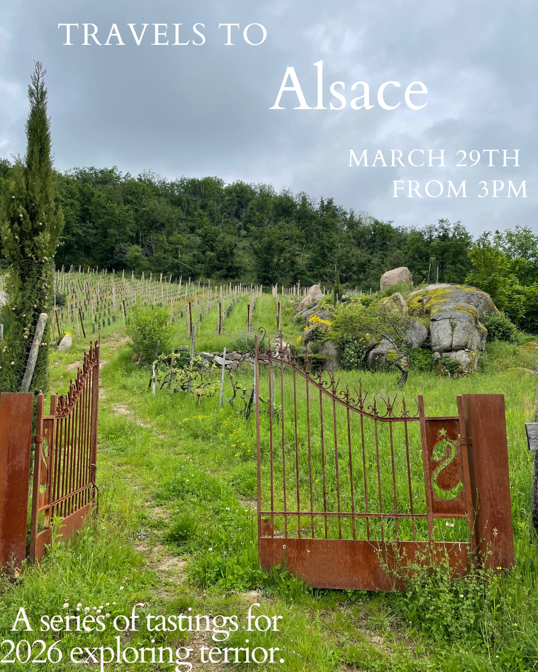 Isca Wine Tasting Series 2026: Alsace 29/3 3pm