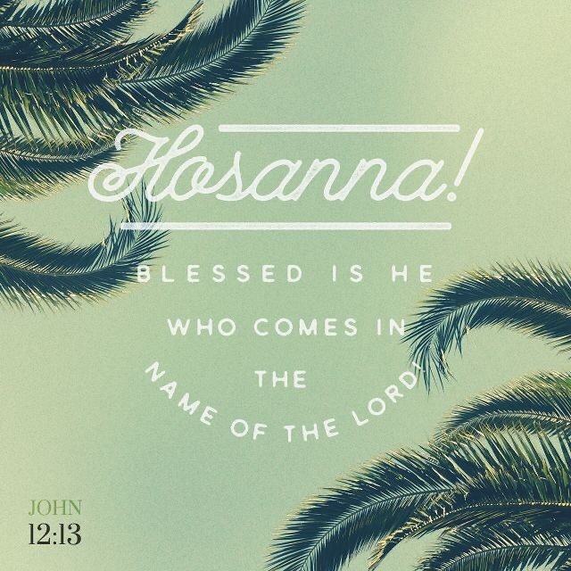 HAPPY PALM SUNDAY! Let today remind you of our wonderful savior, who gave it all for us.
 #palmsunday #plam #hosanna #savior #church #scripture