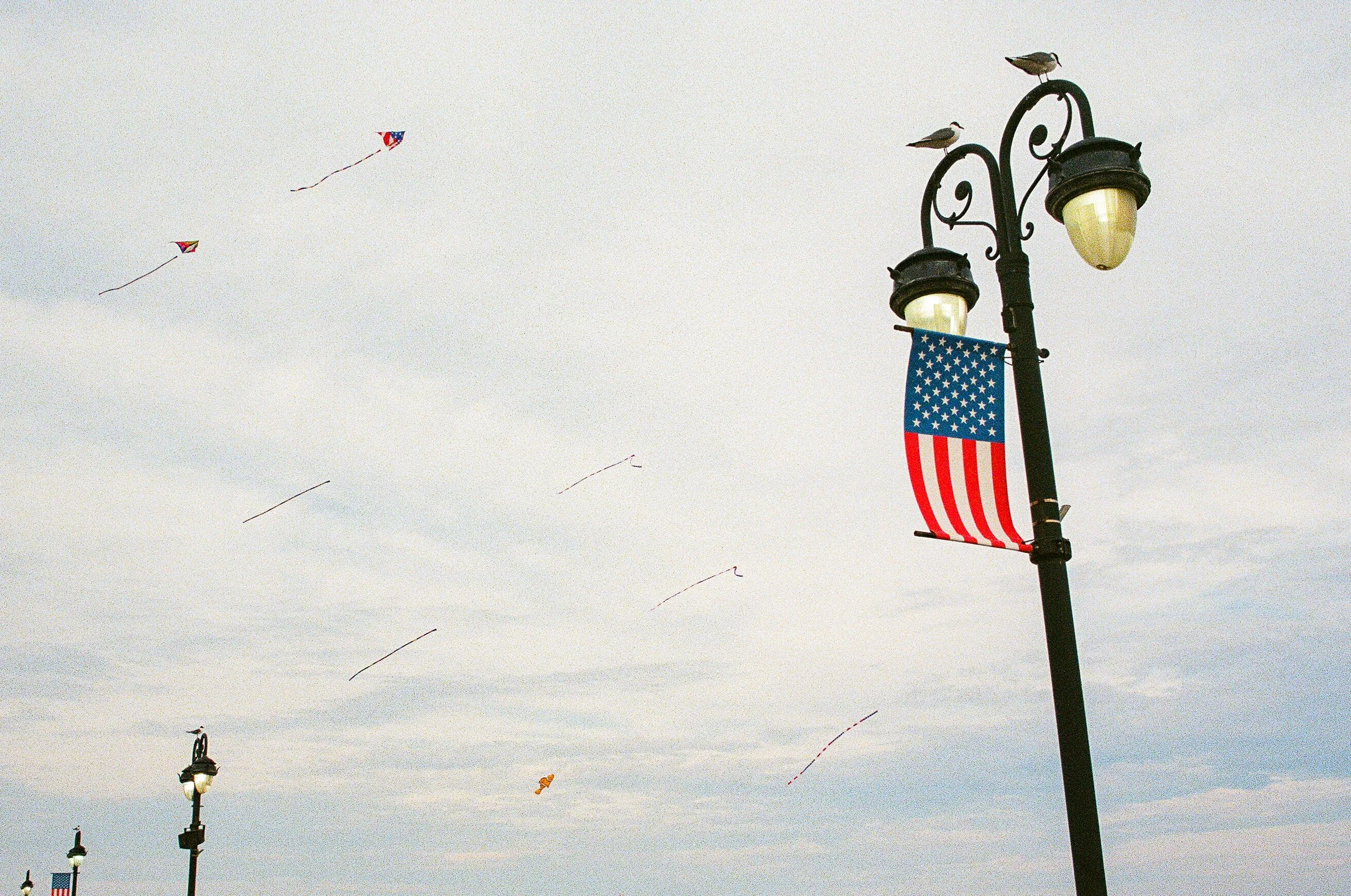  Canon A-1 | Kodak UltraMax 400 