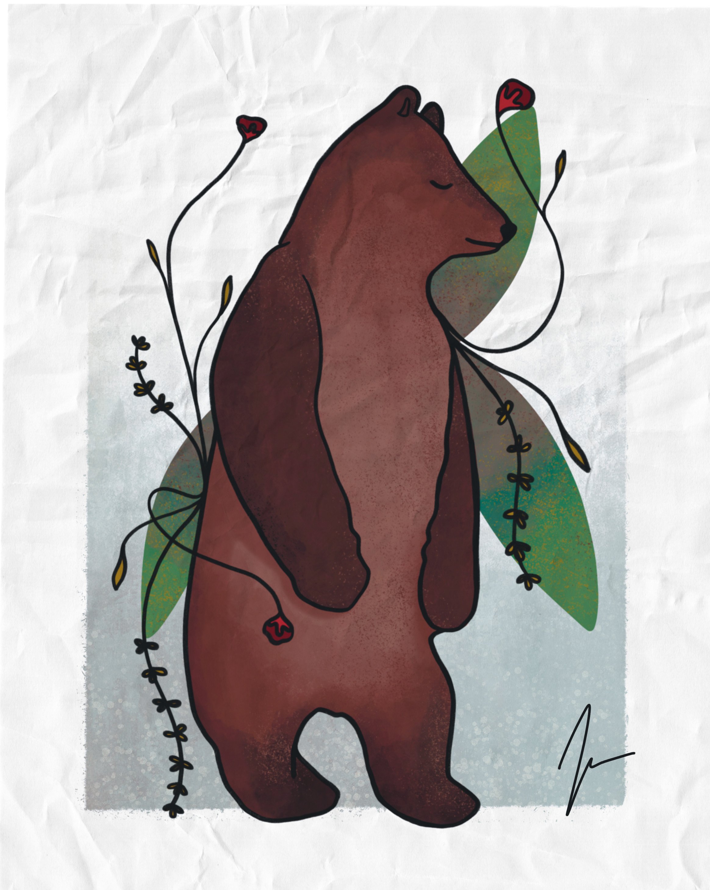 'the bear' - Carnivora 1/9