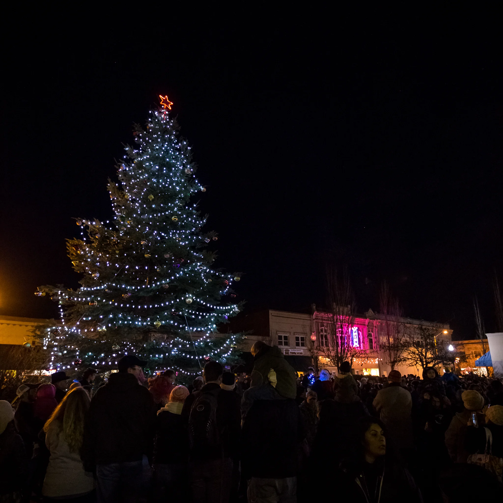 ADA-Twice-Around-Parade-and-Tree-Lighting-2016-691_.jpg