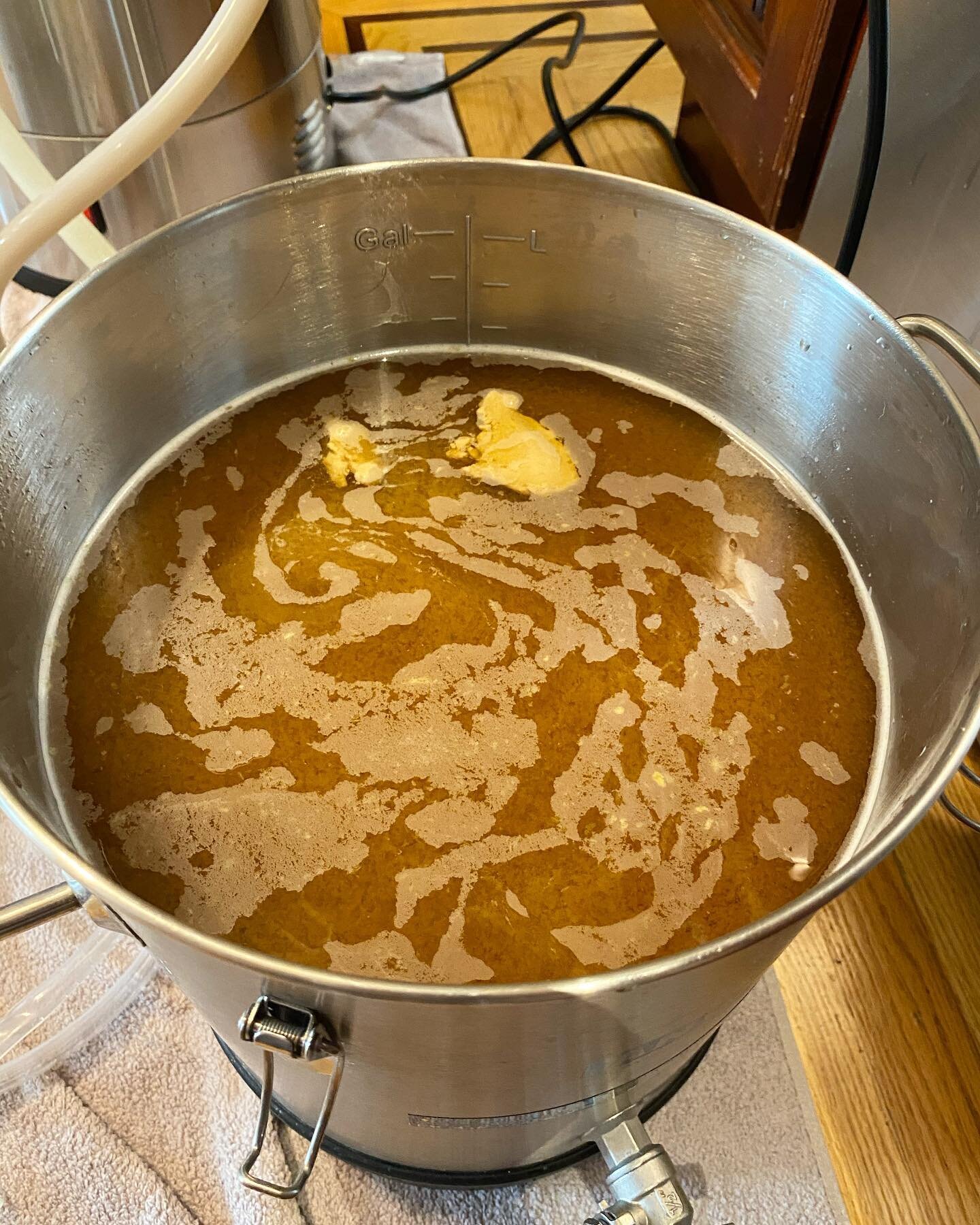 3 gallons of festbier with lutra! 65% floor malted pilsner, 35% vienna. i&rsquo;ve made this recipe many times before with @bootlegbiology oslo, can&rsquo;t wait to try it with @omegayeast lutra. fermenting at 78, let&rsquo;s see how fast and clean w
