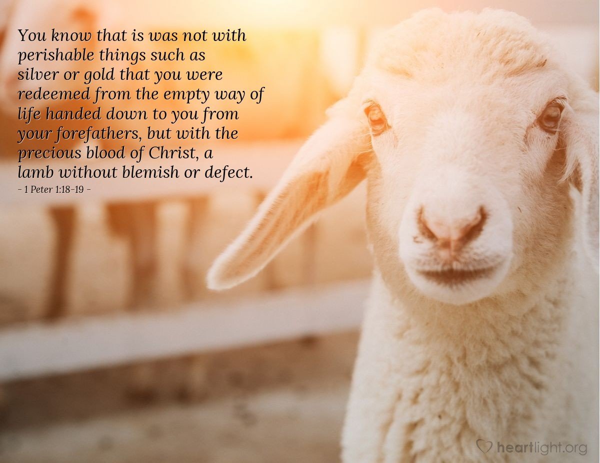 1 peter 1.jpg