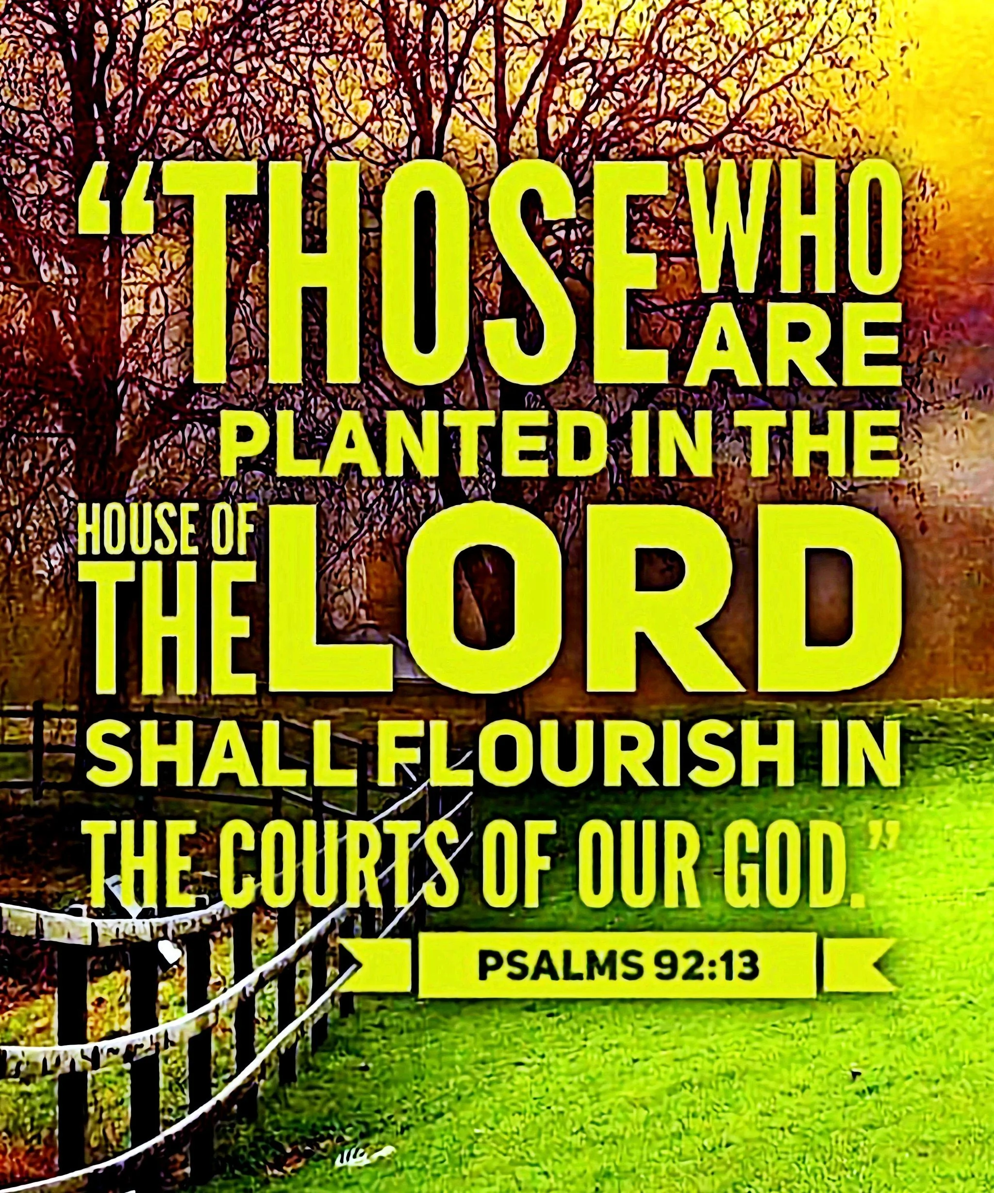 psalm 92.jpg