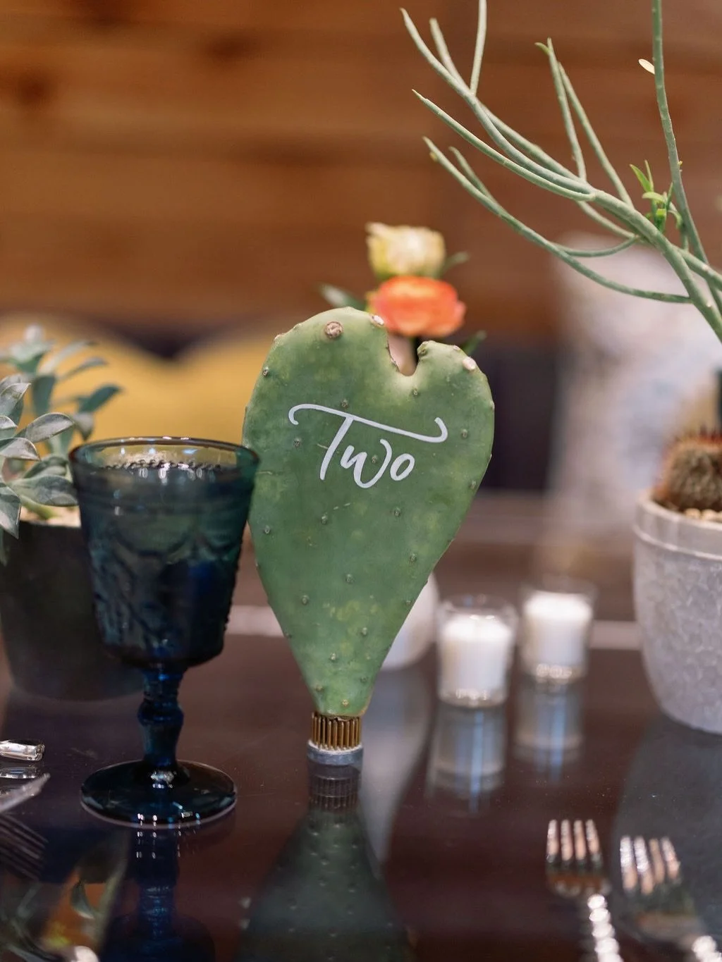 A moment for these cactus table numbers🌵🏜️Obsessed! Rehearsal dinner decor with western desert vibes, dreamed up by the most lovely DFW event planner @afteryes @byjenniferrios 

I featured my painted calligraphy process video of these in my story a