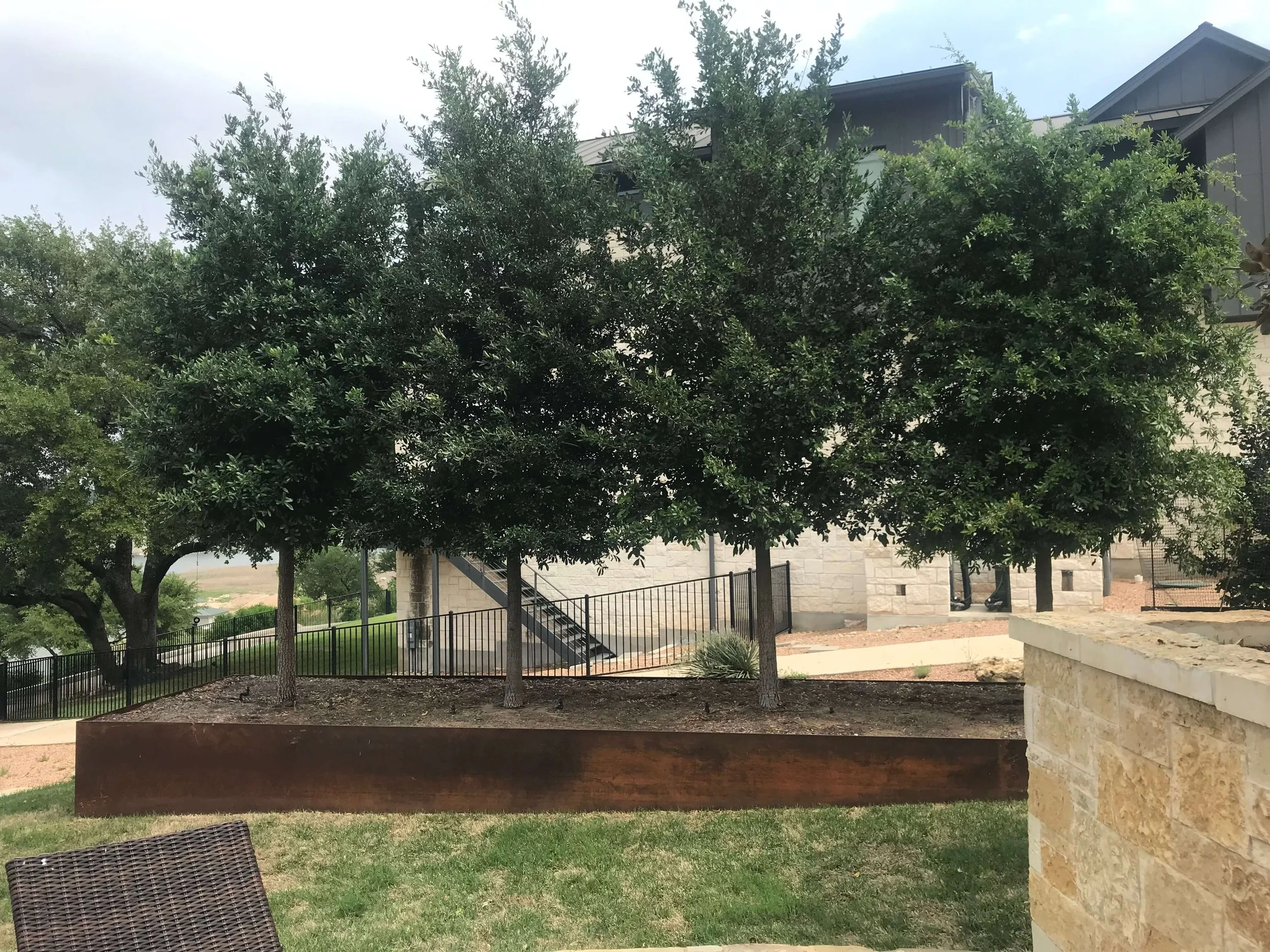 BISHOP PROPERTY LINE AFTER Backyard.jpeg