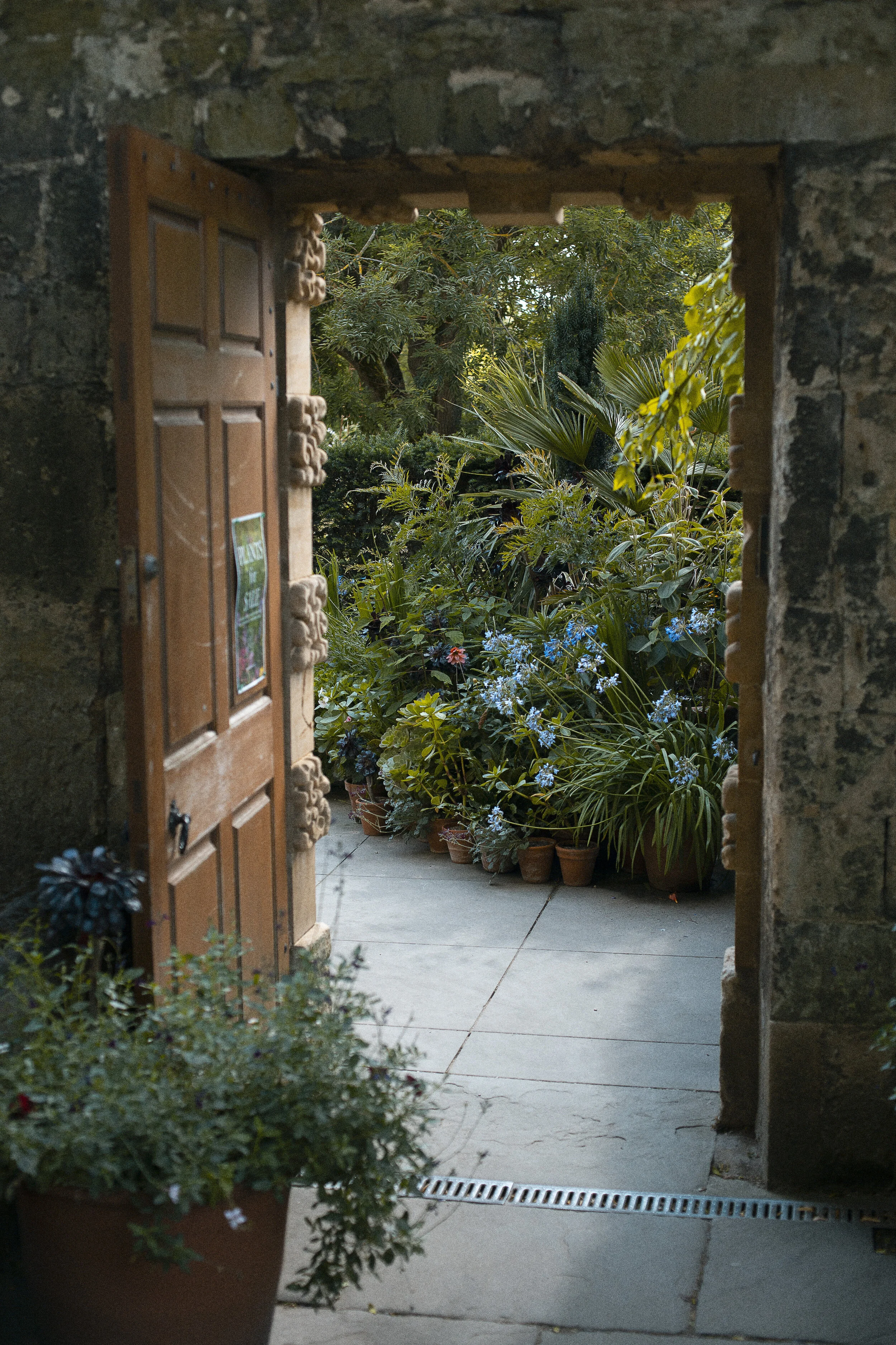 Open door into garden
