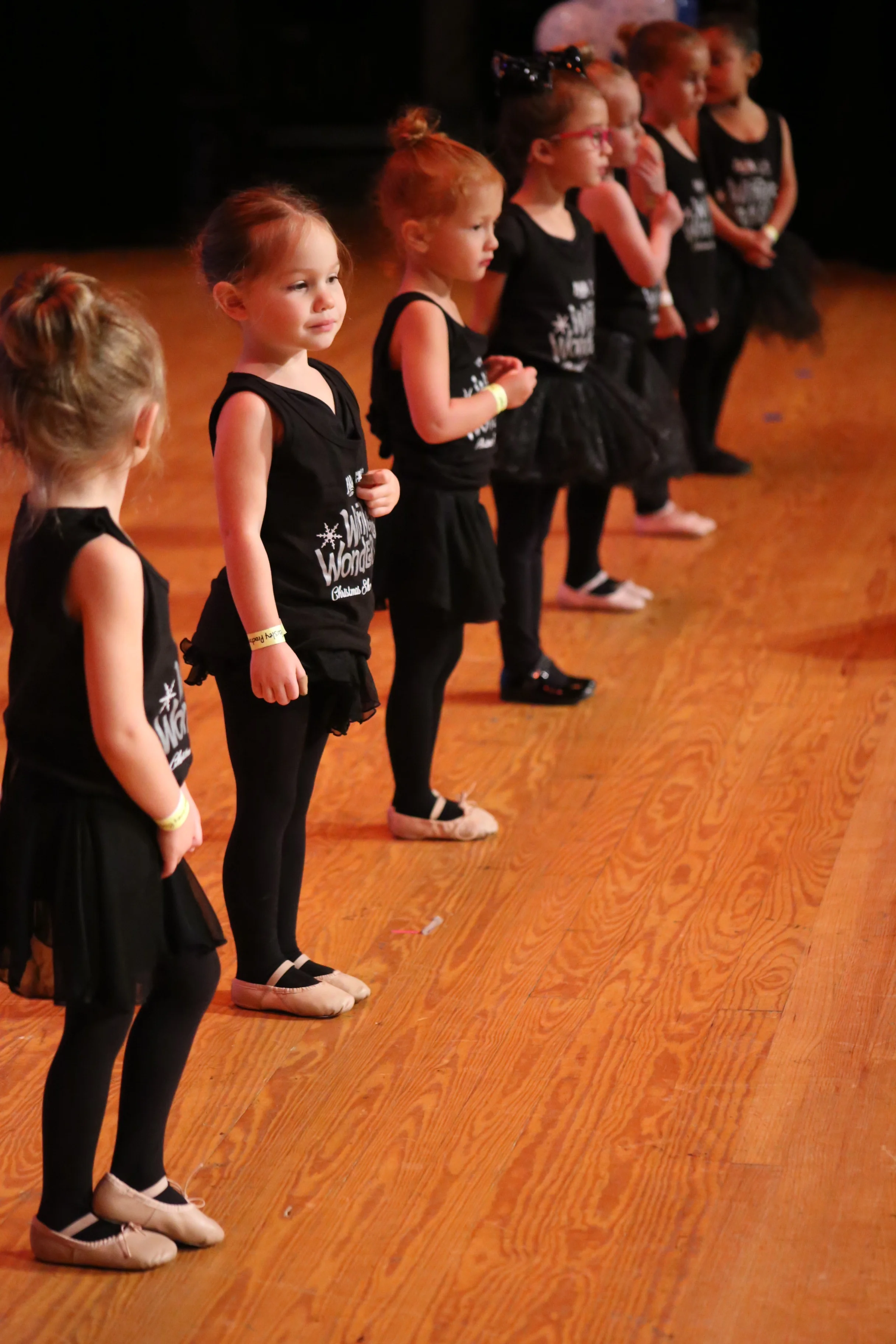 Mini Dance Bugs — Plaza Academy