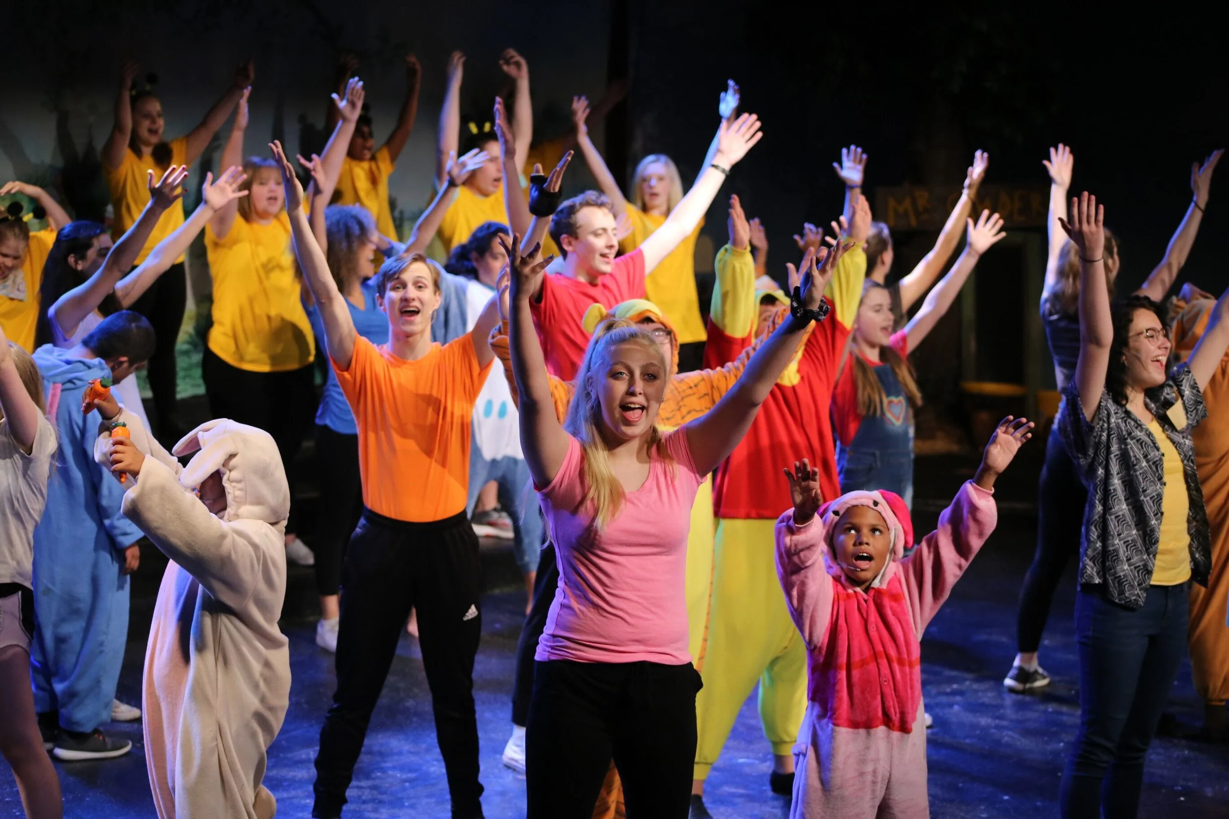 Harmony Connection performance of Winnie The Pooh Jr