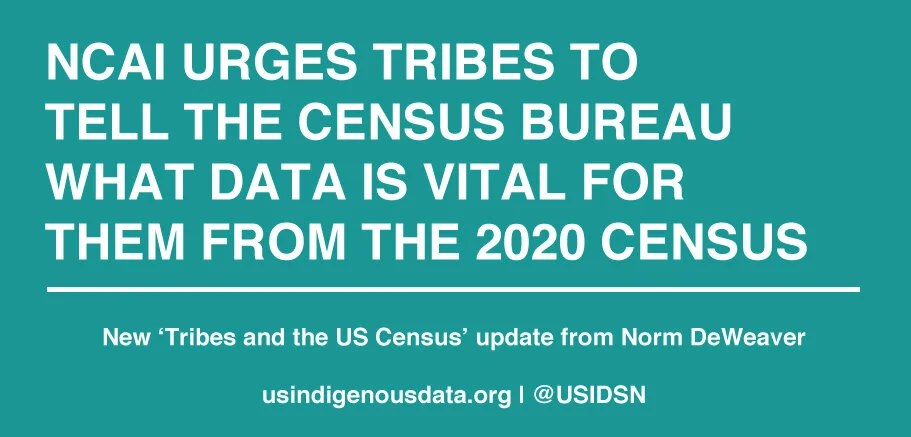TribesandUSCensusUpdateNCAI.jpg