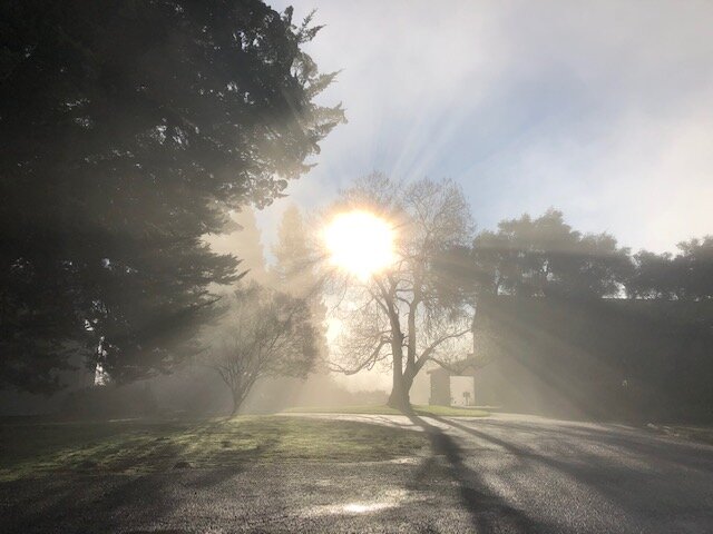 retreat 2020 mist and sun.jpg