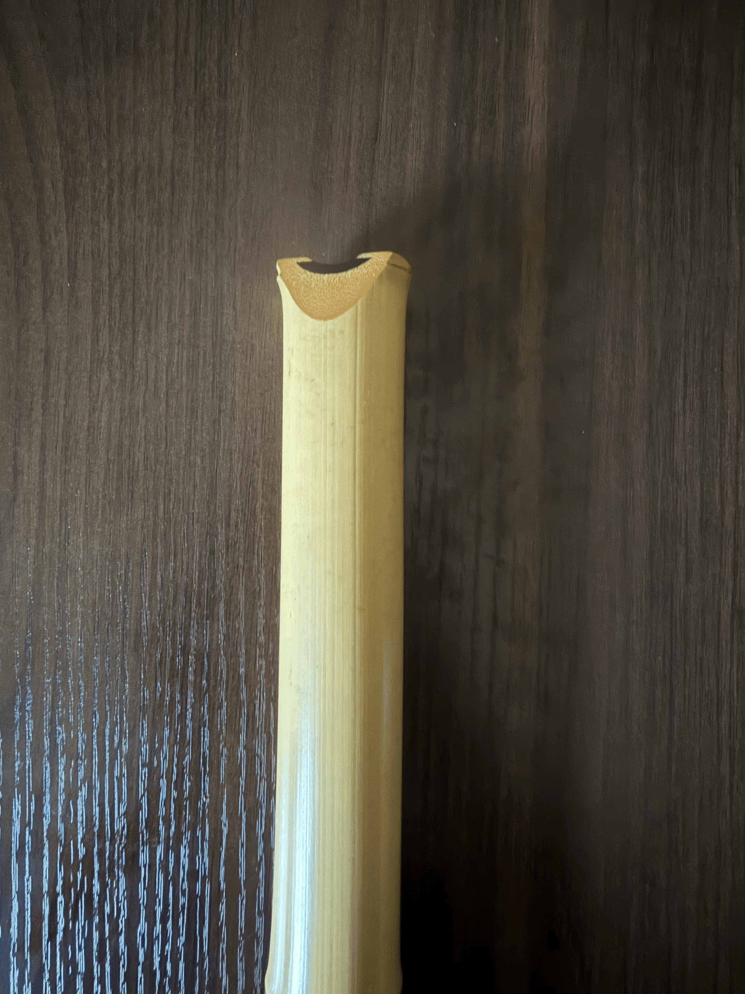 tempImagepkxg9e.gif