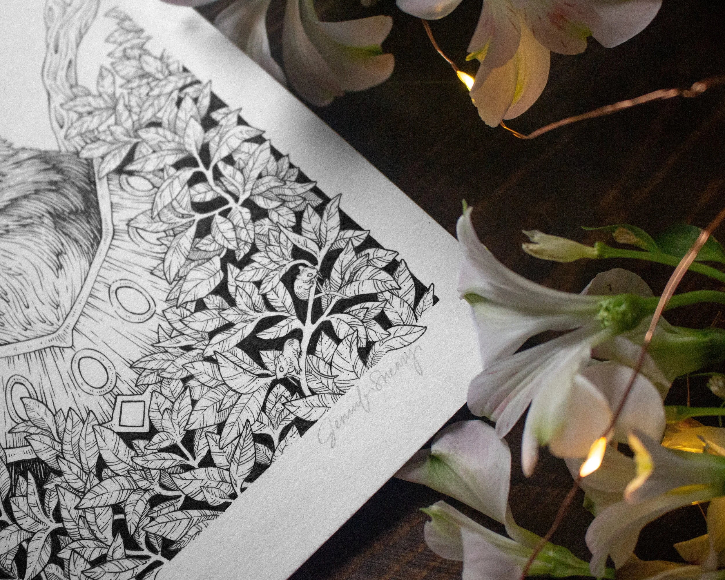 Jenn Sneary Illustration, Moonlight, Pen and Ink drawings