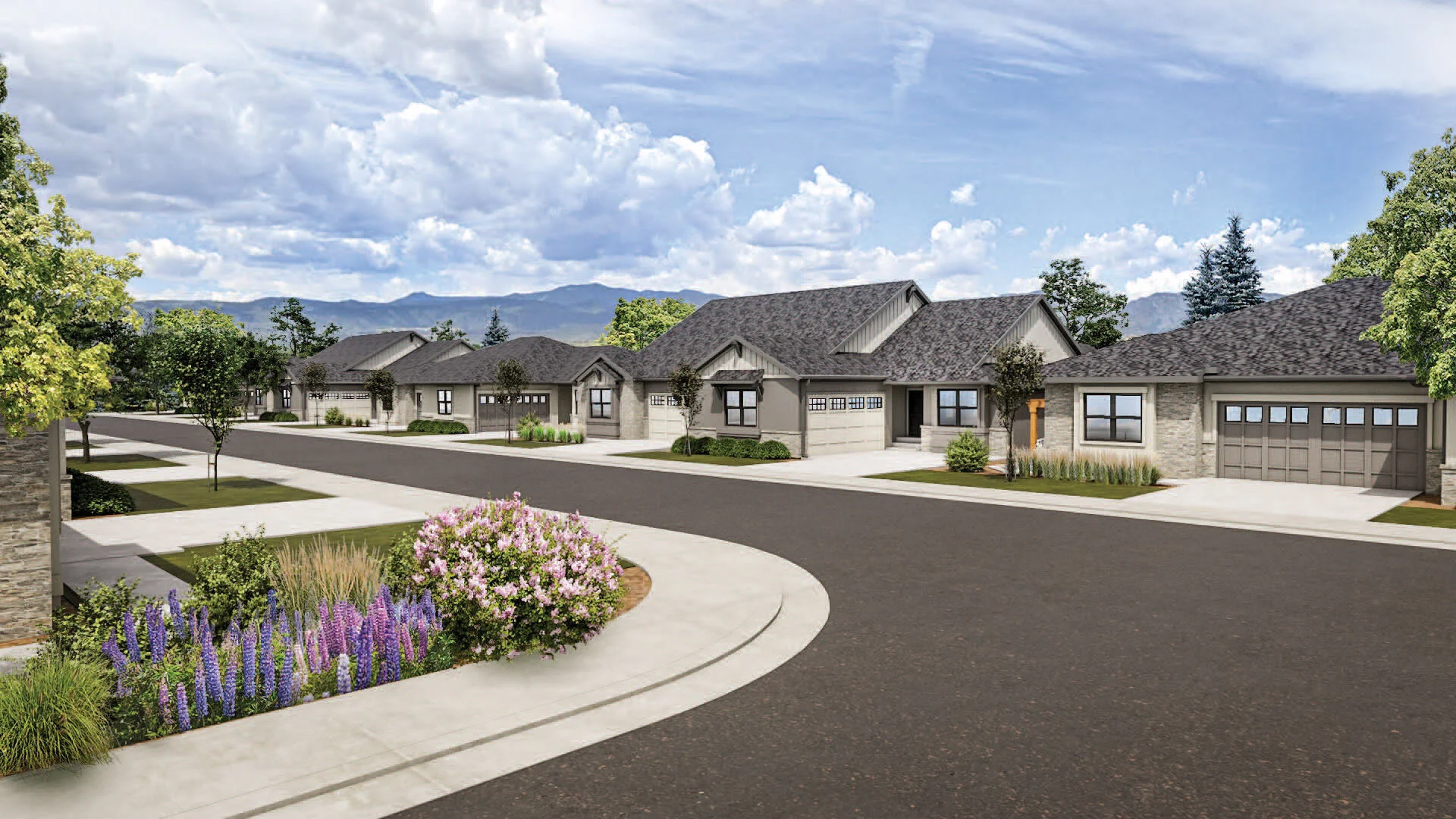 Project Renderings