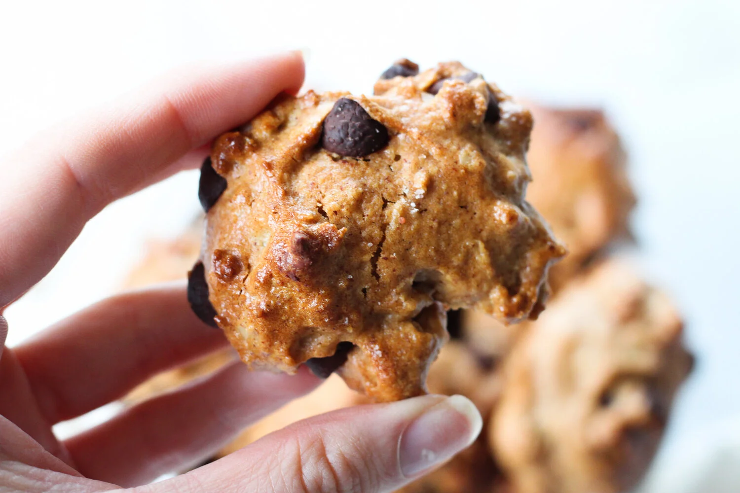 Chocolate chip oatmeal cookies