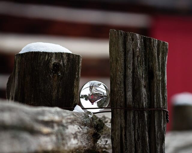 Cabin fever have you feeling upside down these days? Take some time in nature to reground yourself. #StepIntoNature #OHaraMill #Homestead #ConservationArea #WalkingTrails #NaturalBeauty 📸: @erikanorris