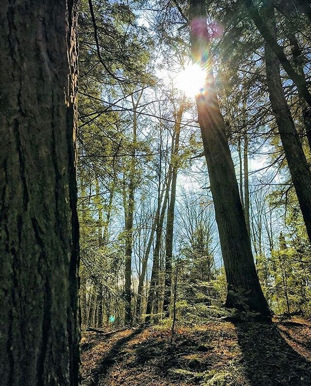 This time last year... 🌲☀️ ⁣
If you plan to wander this weekend, we ask that you please read and respect the following message:⁣
⁣
&ldquo;O&rsquo;Hara Mill Homestead and Conservation Area will remain open to the public; seven days a week, from dawn 