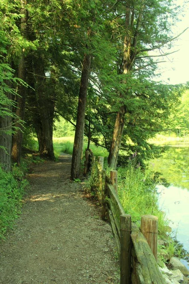 Walking Trails — O'Hara Mill Homestead