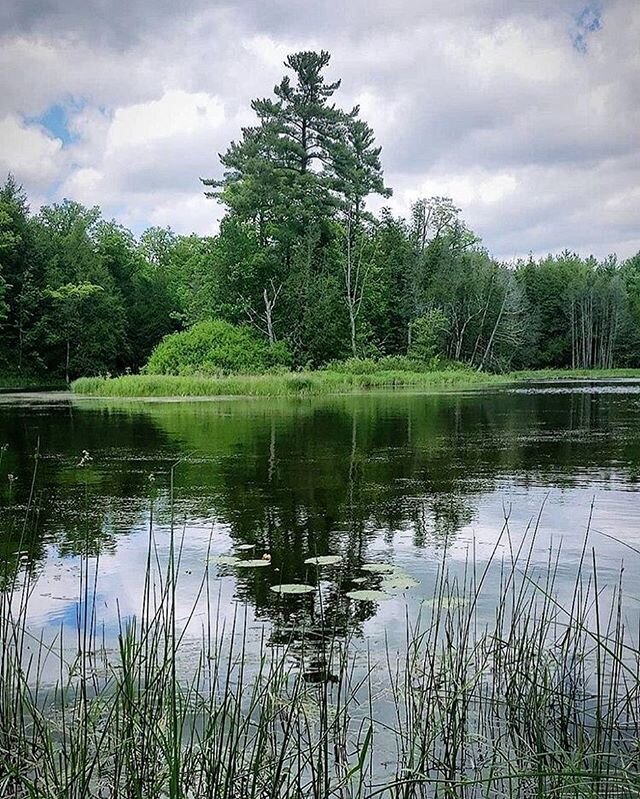 Reflections. ⁣
Water is the mirror of nature. ⁣
What beauty will you see when you visit #OharaMill? ⁣
⁣
Thanks to @kris_alysha1 for sharing her latest adventures with us. ⁣
⁣
#Homestead #ConservationArea #QuinteConservation #ConservationOntario #Step