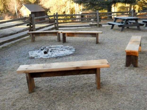 The Hidden History of The Benches of O'Hara