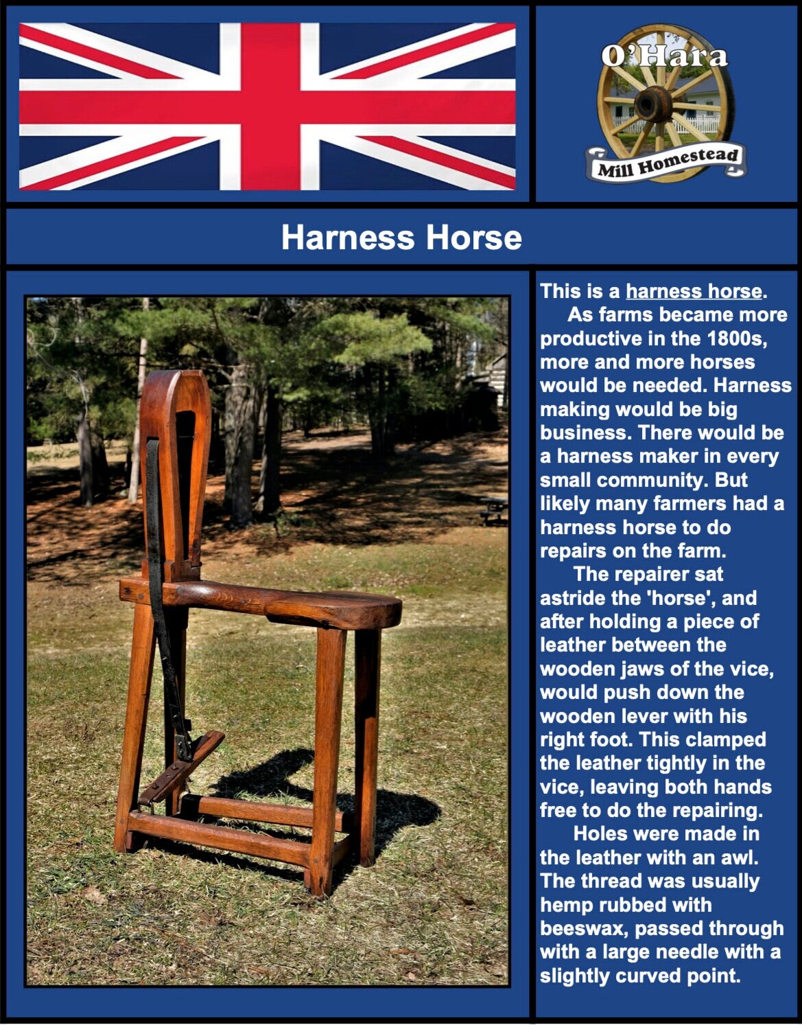 HARNESS+HORSE+.jpg