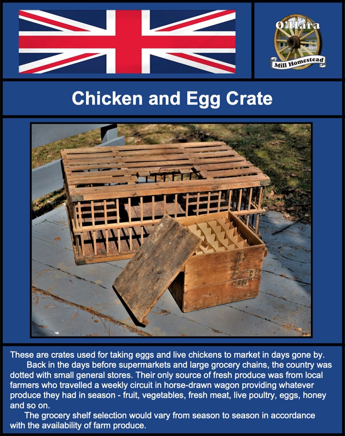 CHICKEN+and+EGG+CRATE+.jpg