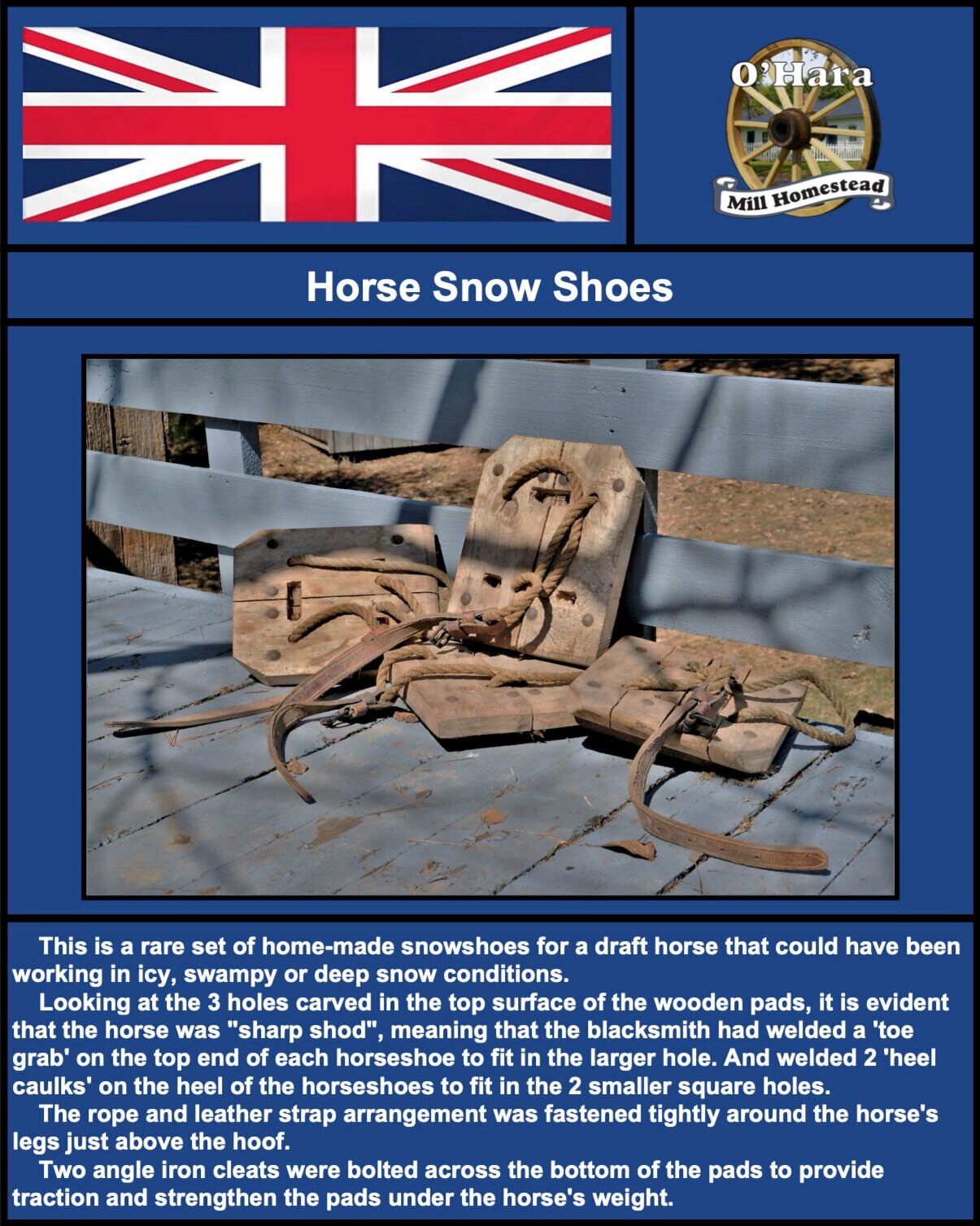 Horse Snow Shoes .jpg