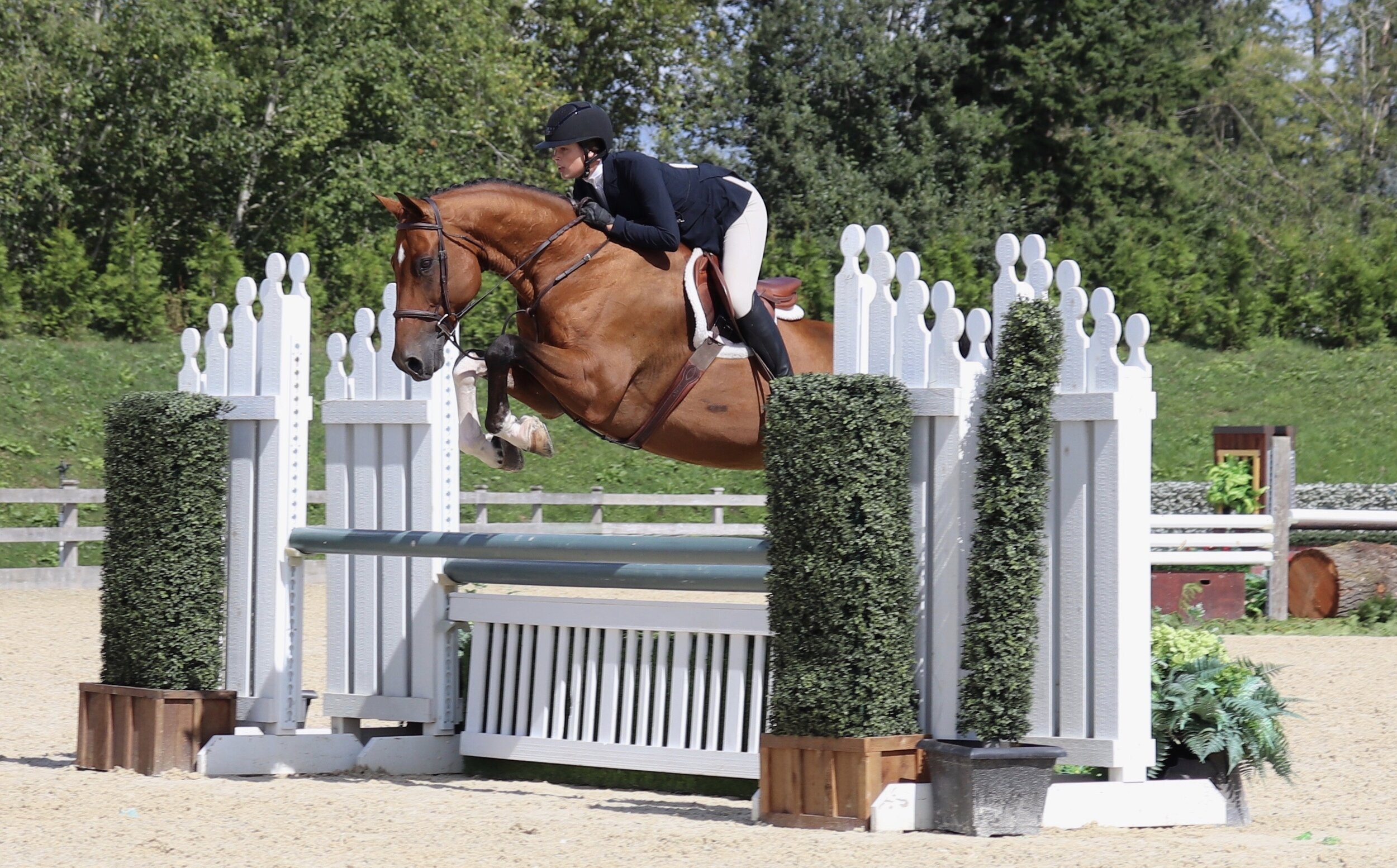 Gallery — Keepsake Farms