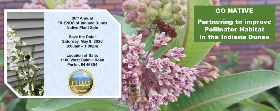 FOID FB Banner - Collection (JPEG).jpg