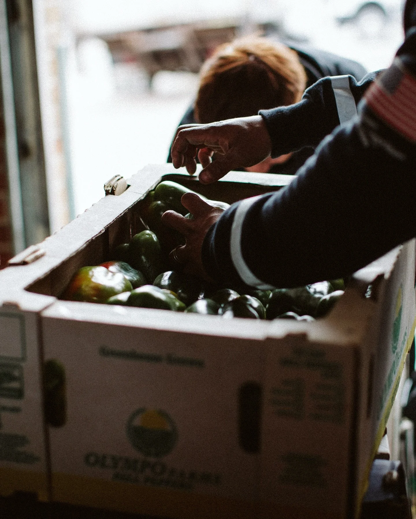 Running around with @ryleedulaney for a bit Saturday. Showed me the city market and it was a good time snapping some shots.
.
.
.
#latergram #createandcultivate #createexplorediscover #createveryday #ig_creative #practiceyourcraft #practicepracticepr