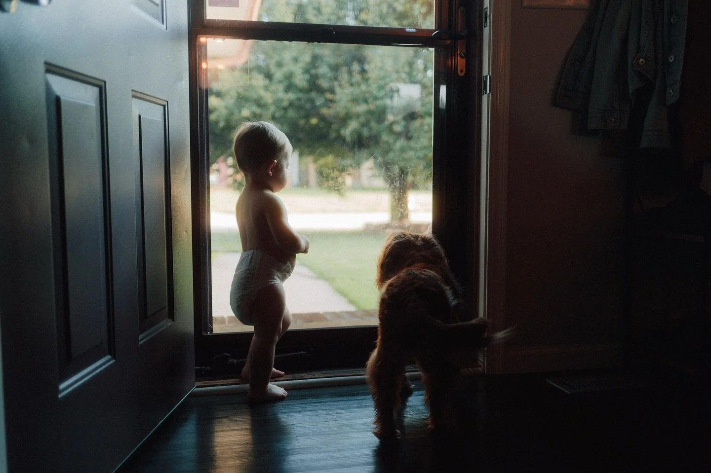 Just a boy and his dog watching from the sidelines.
.
.
.
#firsttimedad #babyboy #firsttimeparents #dadphotographer #newparentslife #practicepracticepractice #practiceyourcraft #photographerslife #canonusa #canon #1dxmarkii #dslrcamera #dslrclick #ds