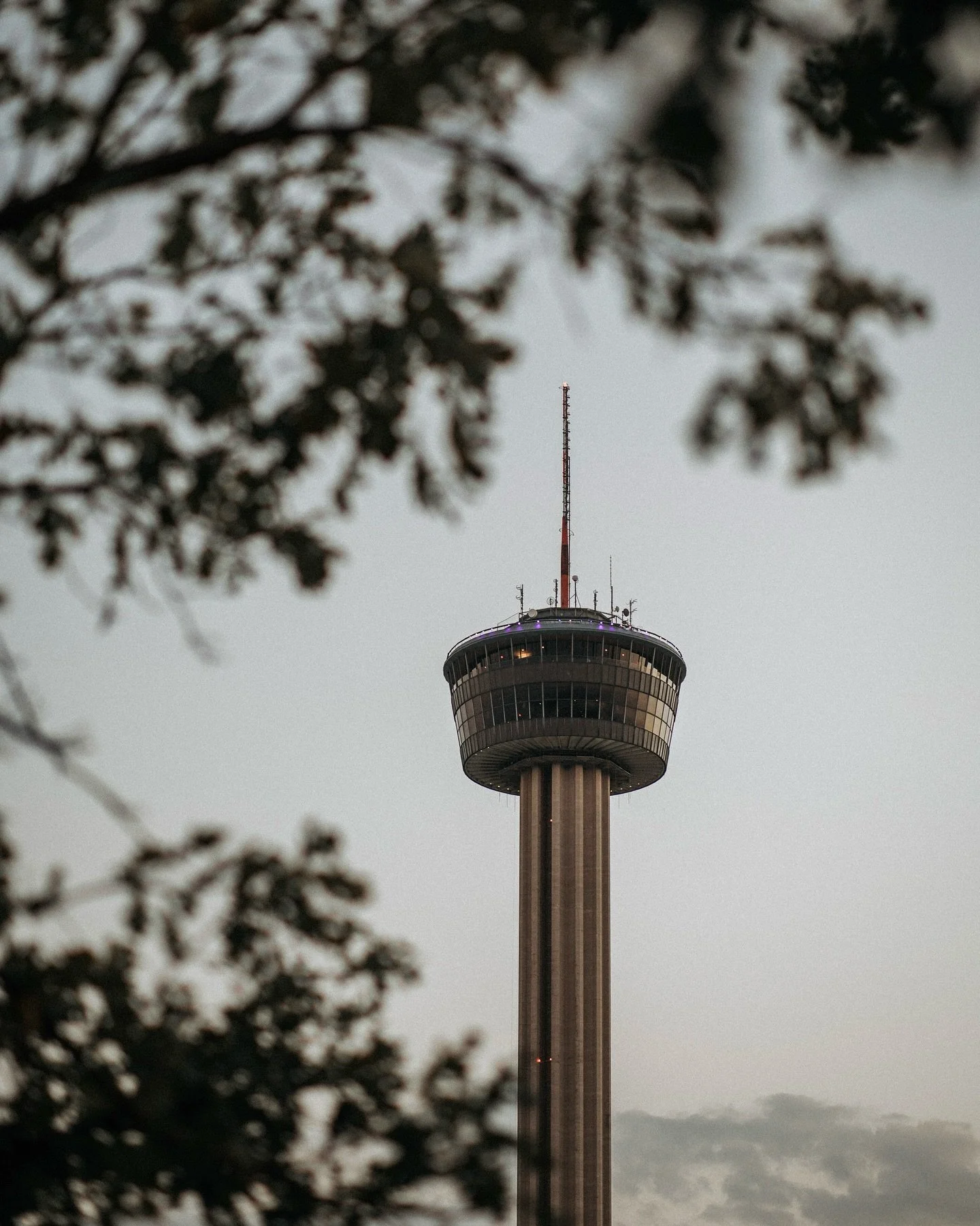 Been traveling all around Texas this week. This was outside of our hotel last night. Reminded me of the Skylon Tower in Ontario, Canada. Pretty cool to see.
.
.
.
#creator #create #practicepracticepractice #photography #canon #canonusa #canoneosr3 #e