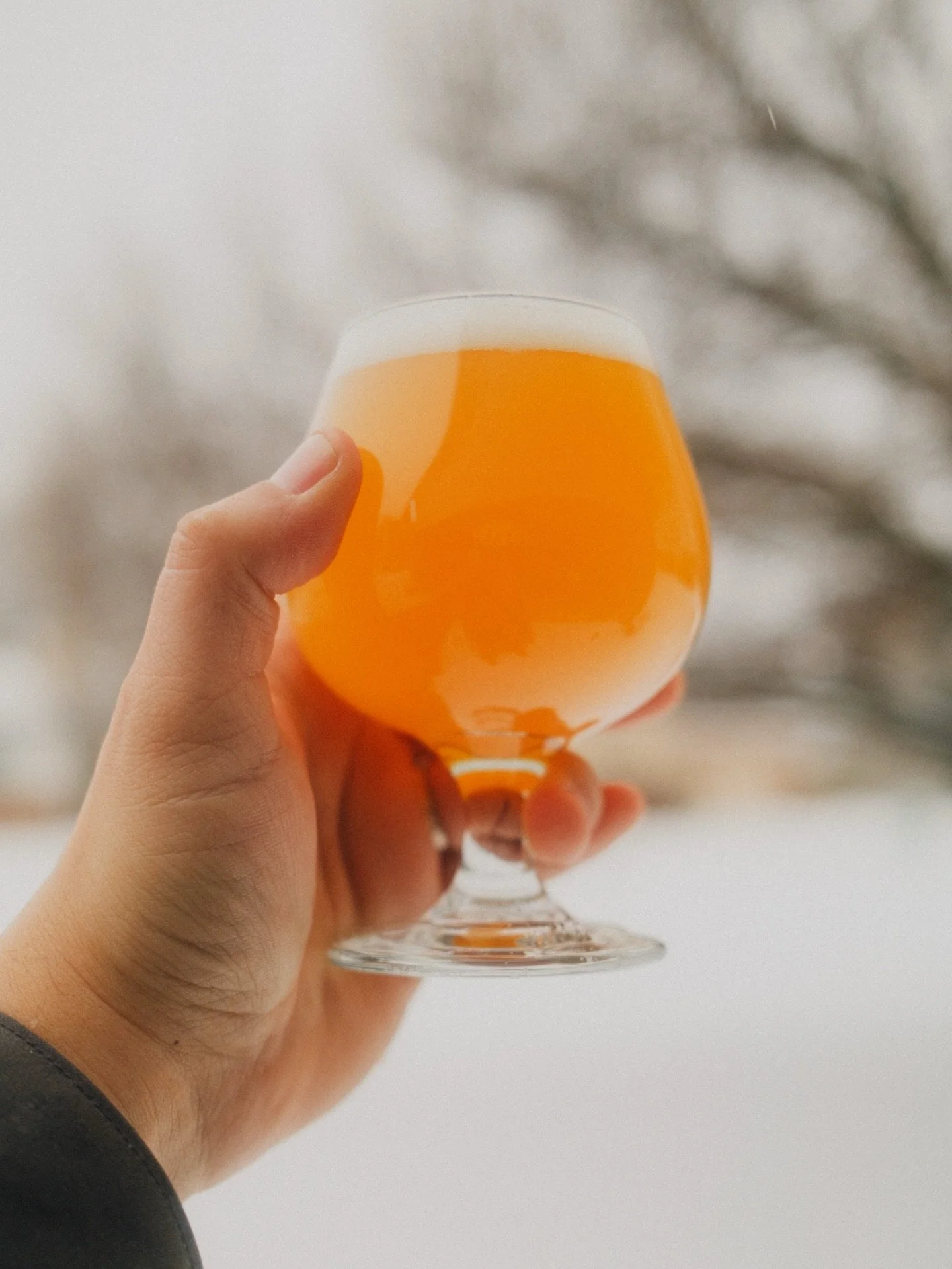 Snow day calls for @topplingbrews new hazy IPA, Hazy Day Sue. This IPA&rsquo;s ABV is only 6.5%! Super hazy and full of that citrusy juicy goodness you come to expect from Toppling Goliath Brewery. Available in 6 packs. Stay warm, cheers.
.
.
.
#craf