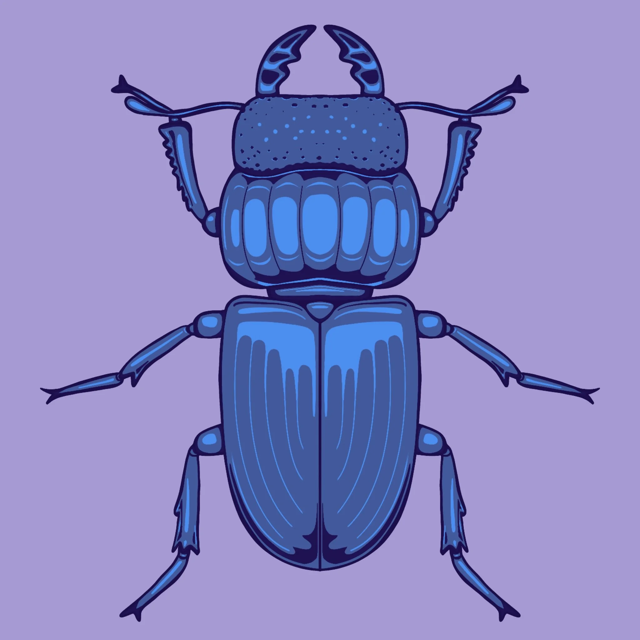 Beetle