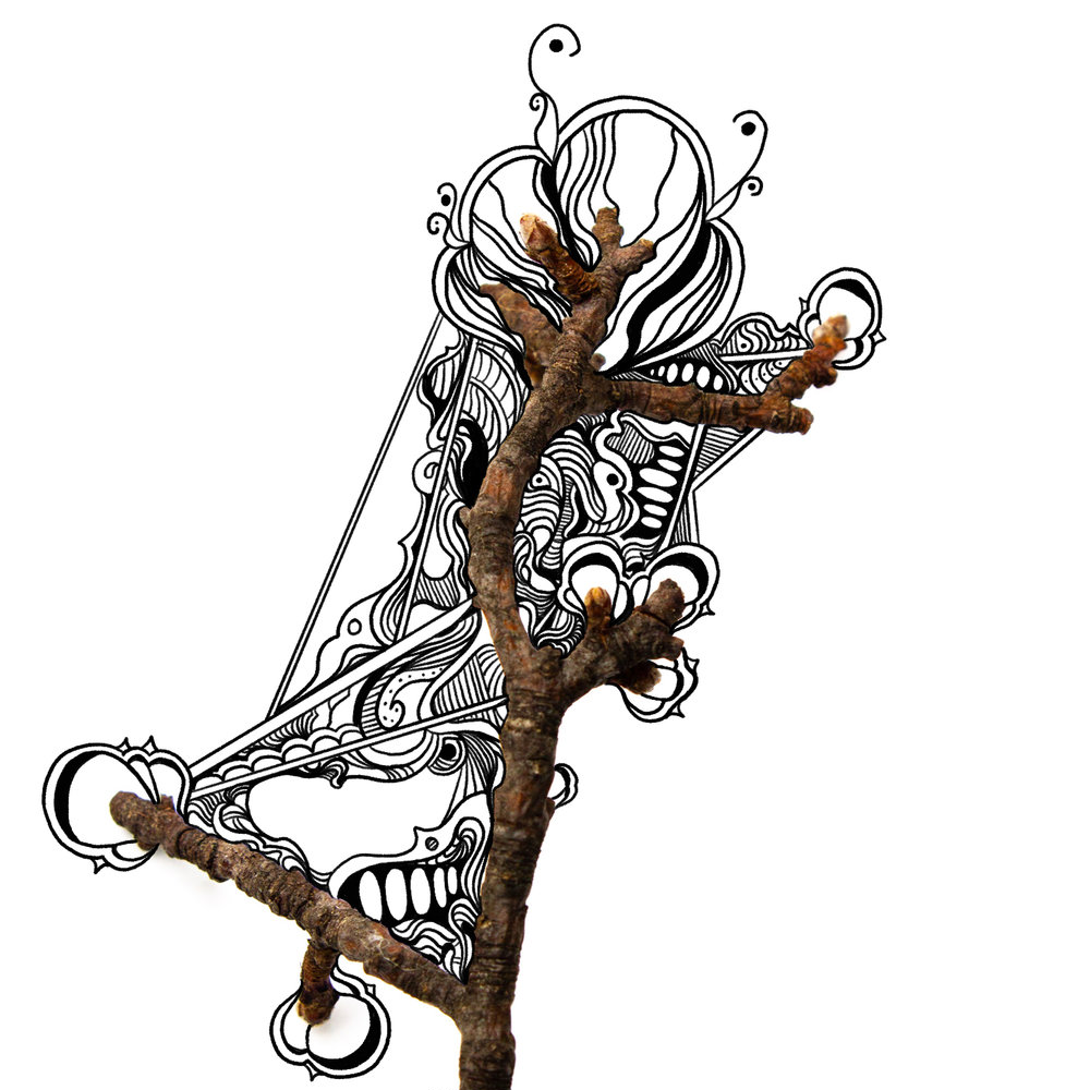 IMG_0894.png