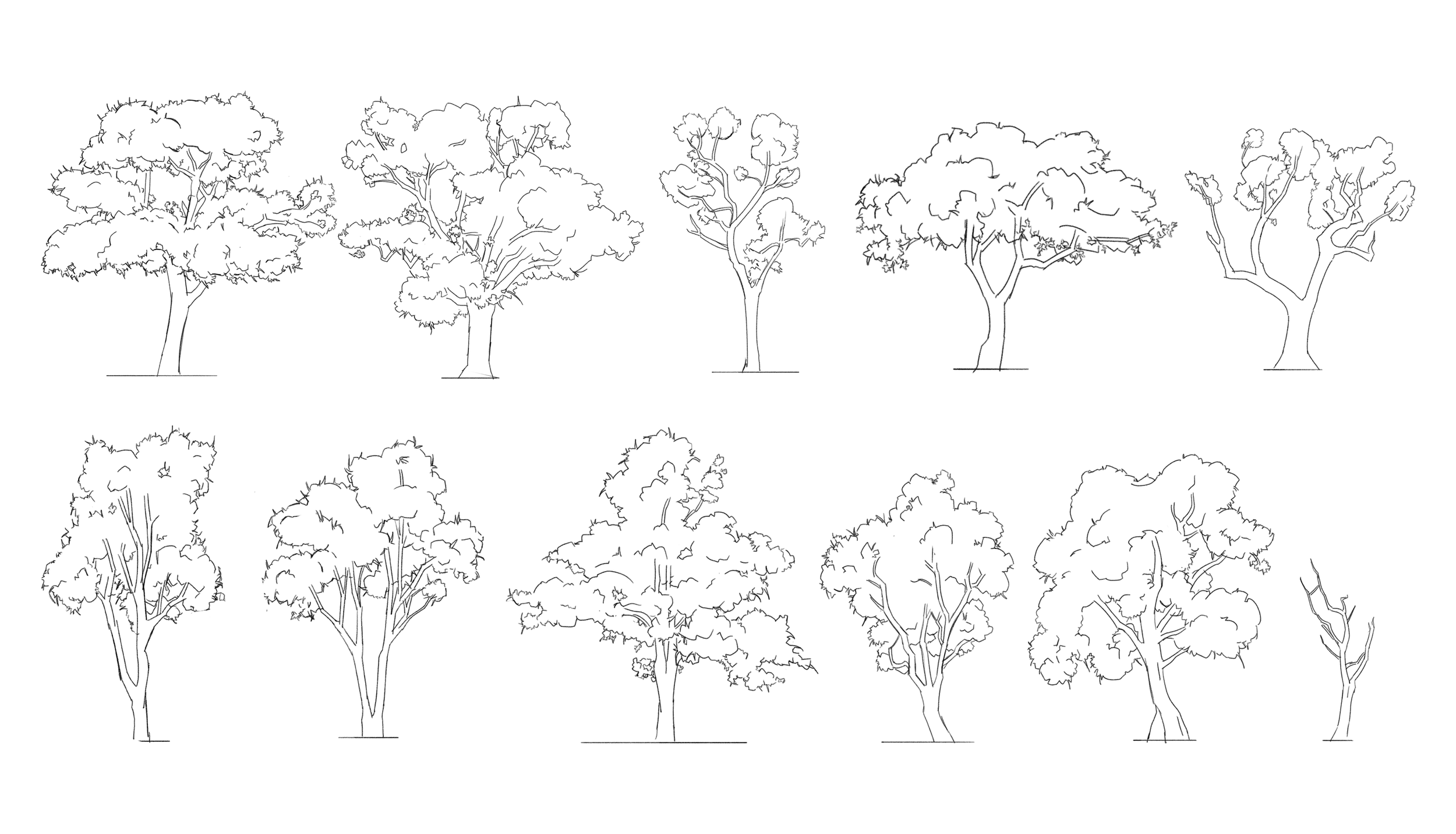 More Trees.png