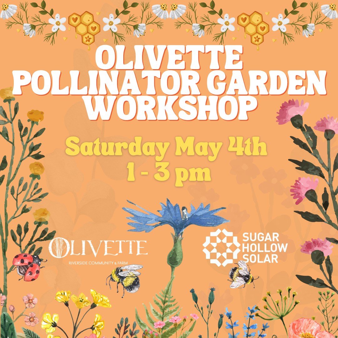 Come see what all the buzz is about! Join us at the @olivettefarm Stand as part of our Spring Into Solar Series to help you start or renew your pollinator garden. 

Sign up for the Workshop before registration closes on 4/26/2024 at 5pm