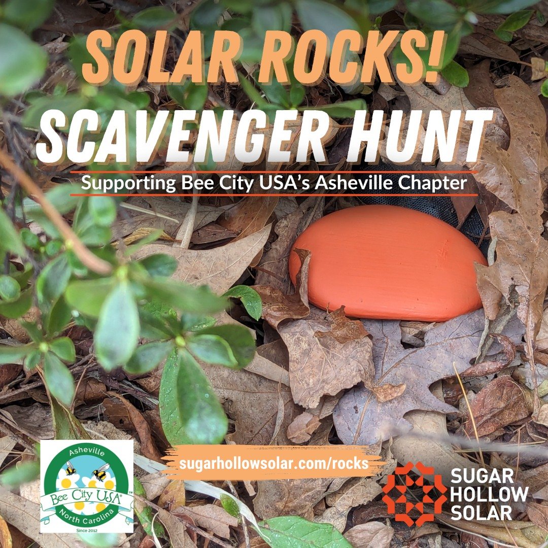 Scavenger hunts are fun, but don't take our word for granite!

We&rsquo;ve hidden rocks around Buncombe county painted the eye catching Sugar Hollow Solar Orange. Why, you ask? Well it&rsquo;s fun, and more importantly - it&rsquo;s our Solar Rocks Sc