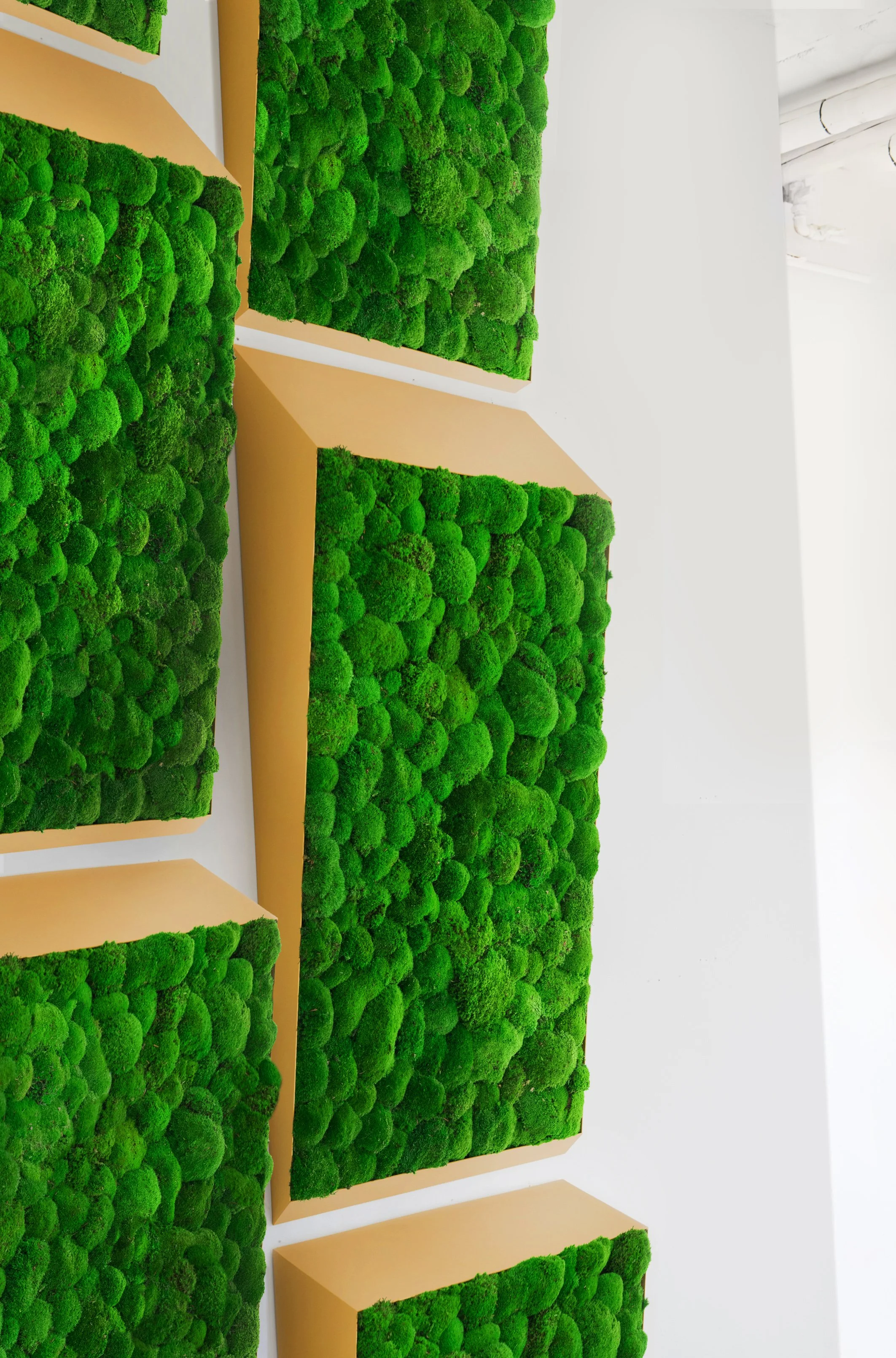 PERSPECTIVE_BallMoss_Gold_GreenMood.jpg
