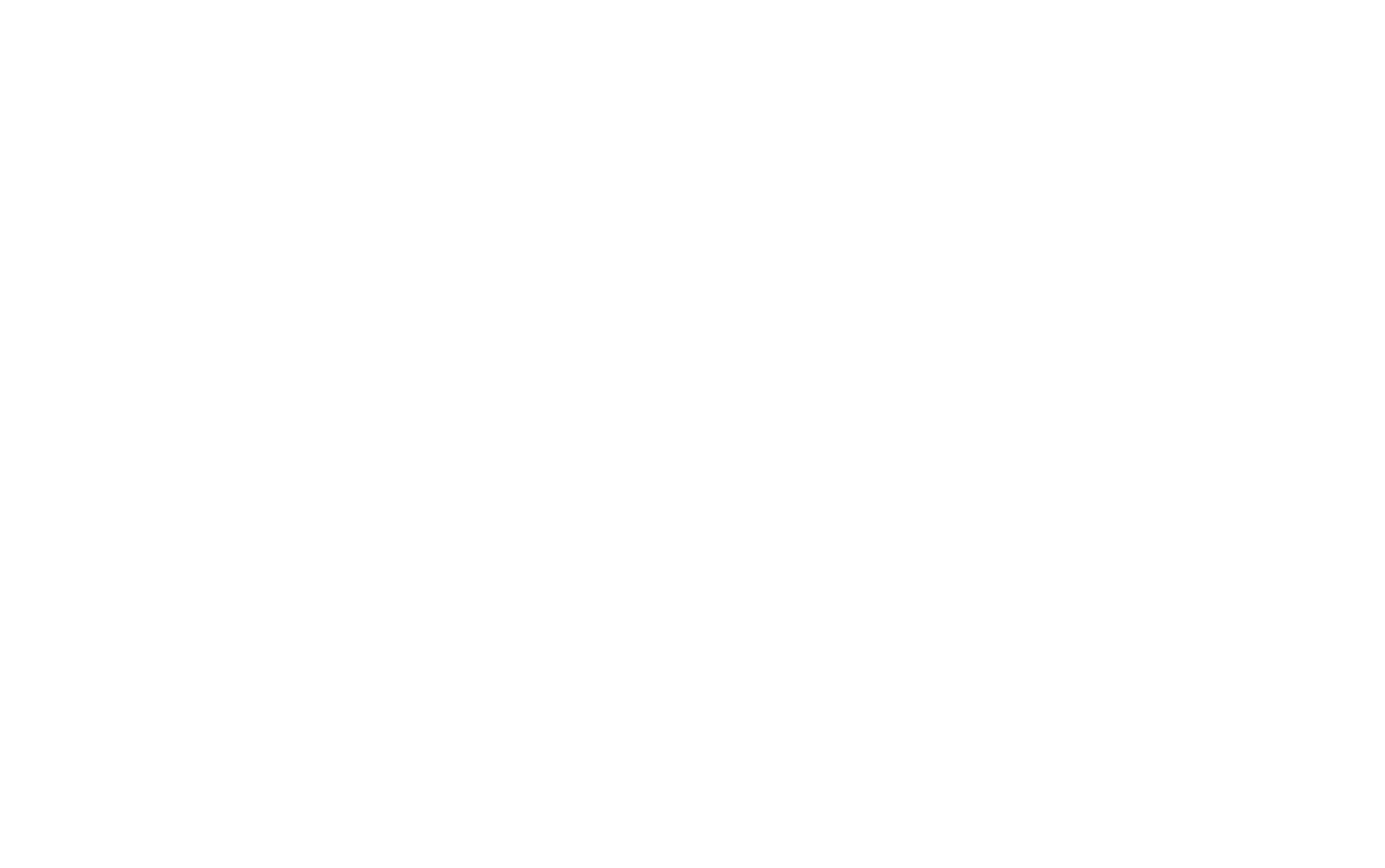 HOLY SPIRIT-logo-white.png