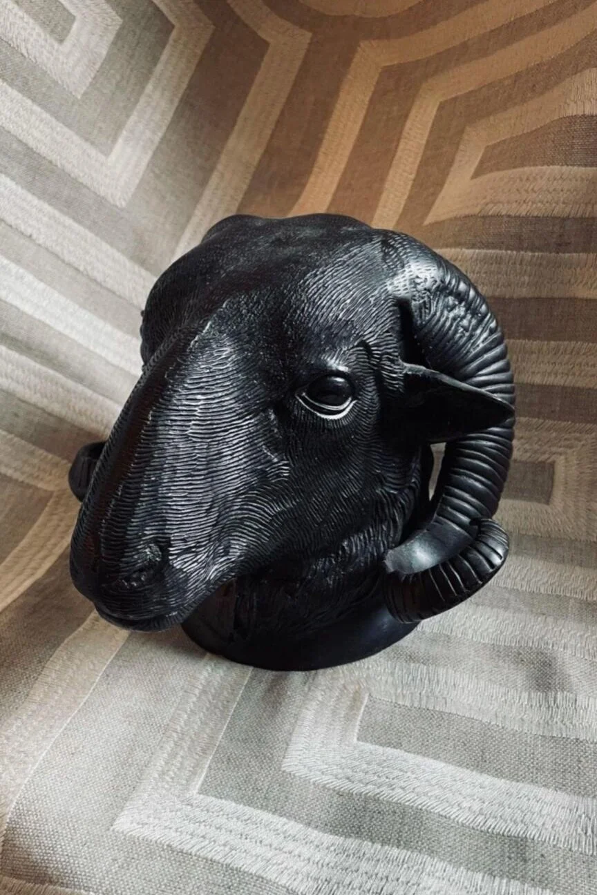 5CBE5223-7CF9-4974-A3F2-93DAA3E46BEA