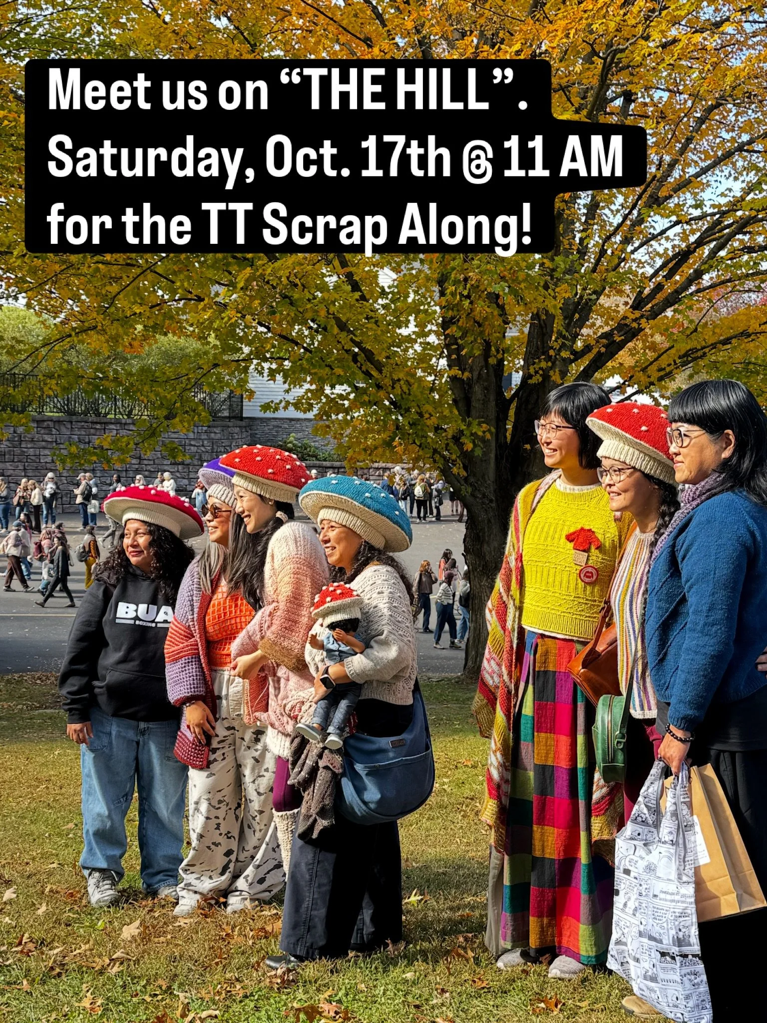 Can&rsquo;t believe @nysheepwool is already this weekend! For #TTScrapALong2026, we&rsquo;ll be meeting up on &ldquo;the Hill&rdquo; on Saturday, 10/17, at 11 AM. Bring your WIPs! Show off your @toqu.tigu or Tina Tse Knits FOs! Or just come by and sa